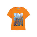 #color_orange
