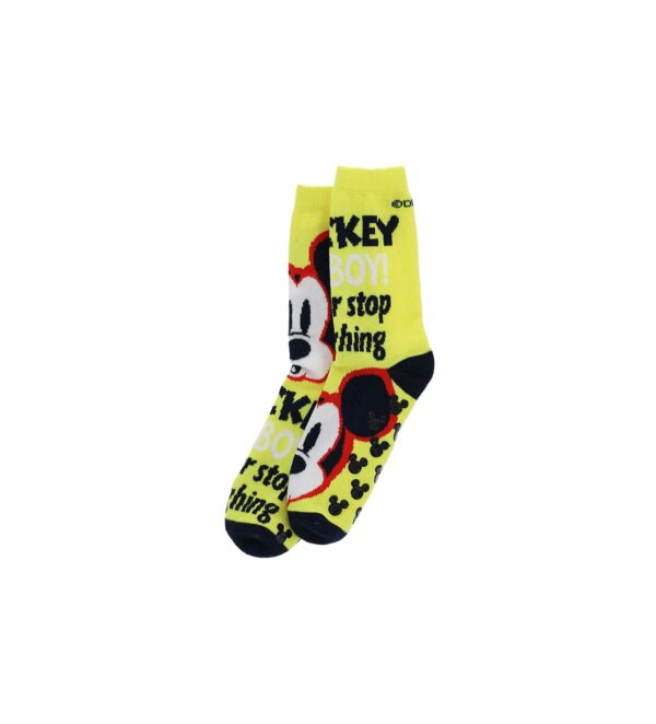 Chaussettes antidérapantes Basico Spring Boy Disney 1