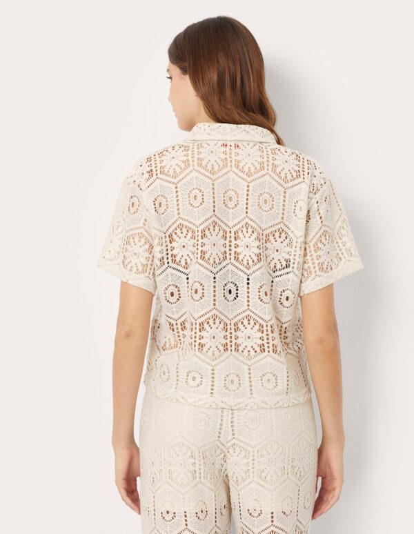 #COLOR_OFF WHITE