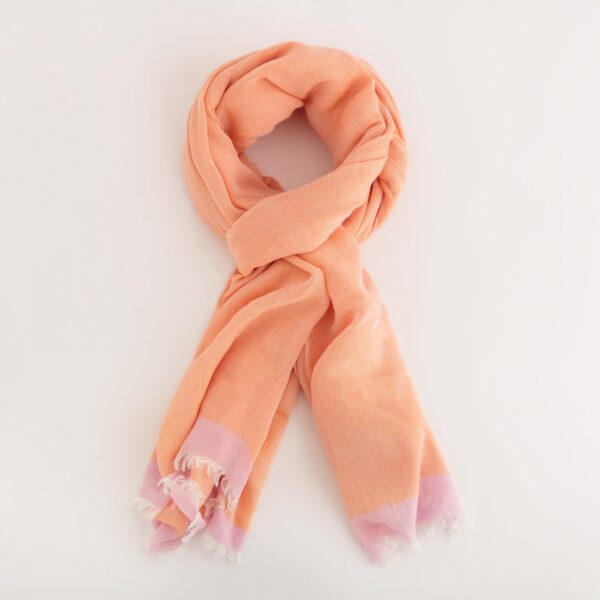 #COLOR_PEACH