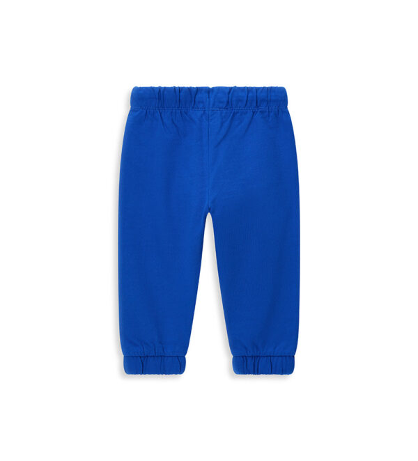 #COLOR_ROYAL BLUE