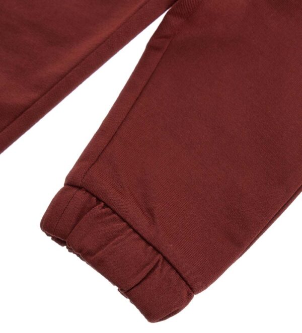 #COLOR_BORDEAUX