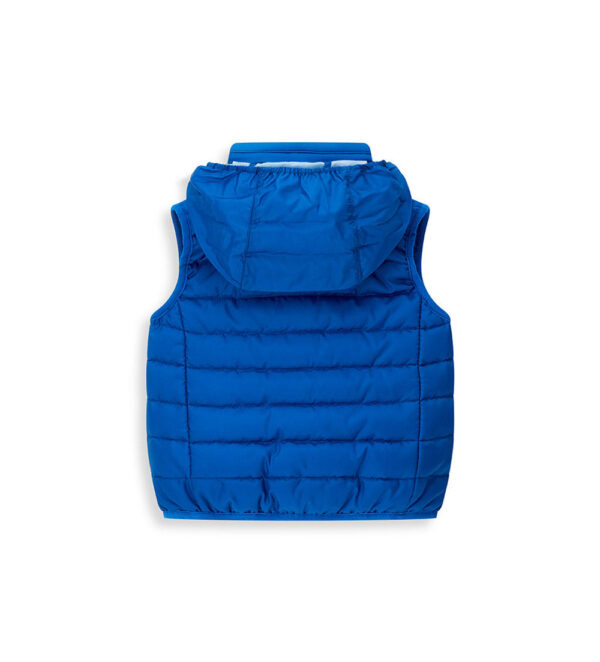 #COLOR_ROYAL BLUE