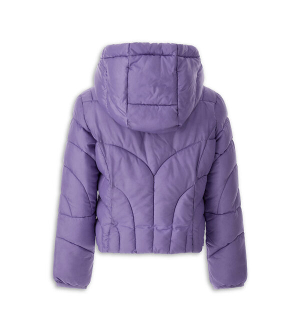 #COLOR_PURPLE