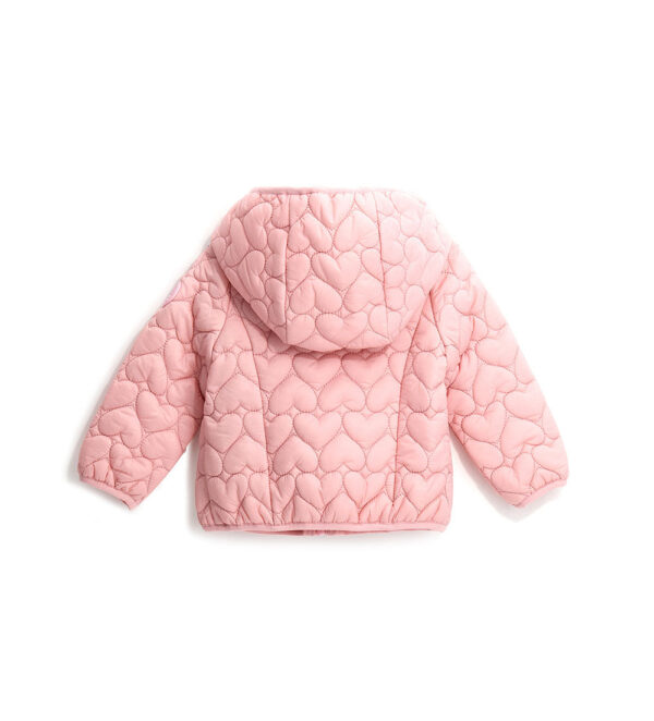 #COLOR_PINK