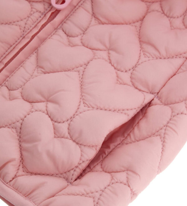 #COLOR_PINK