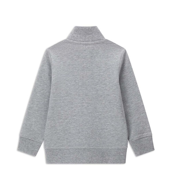 #COLOR_GREY
