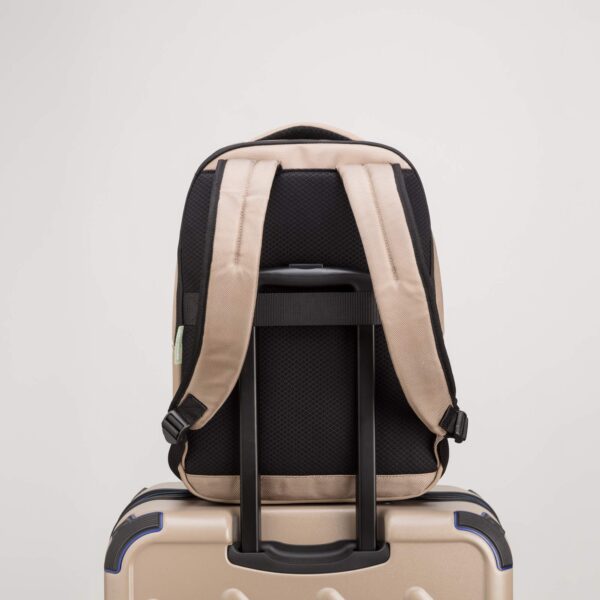 #COLOR_BEIGE