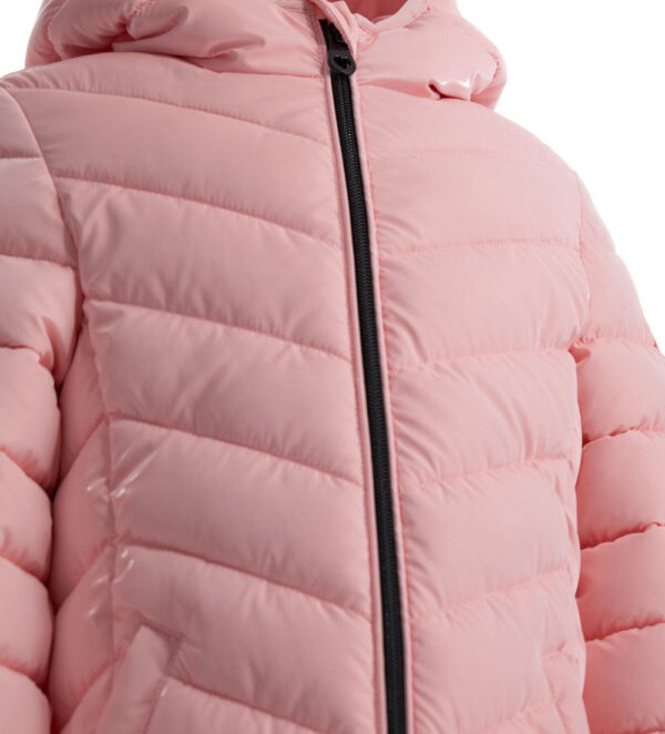 #COLOR_PINK