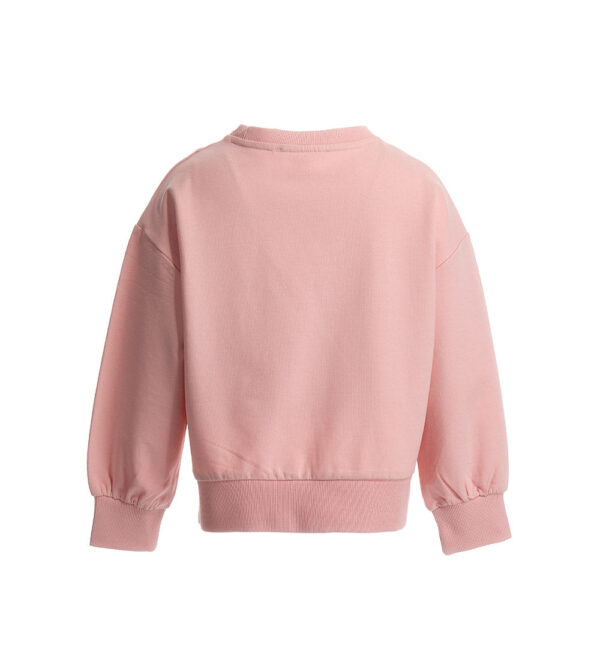 #COLOR_PINK