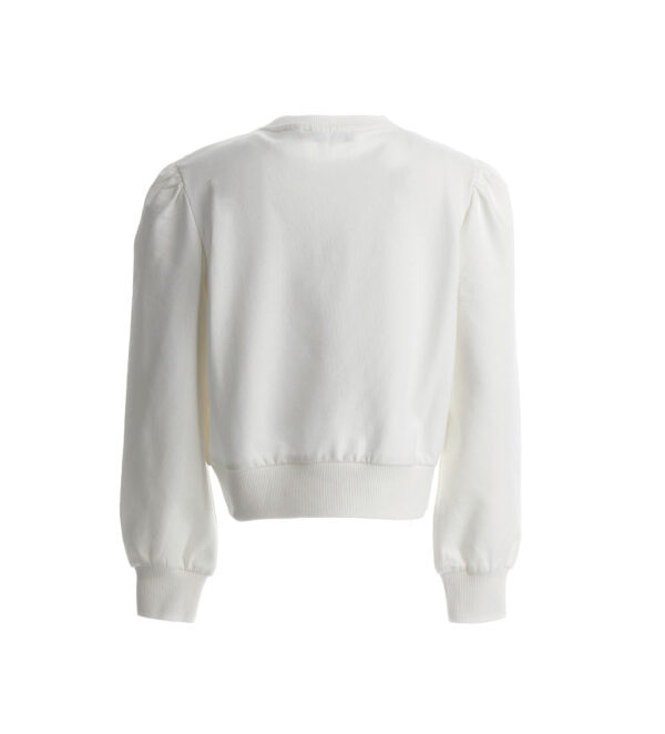#COLOR_OFF WHITE