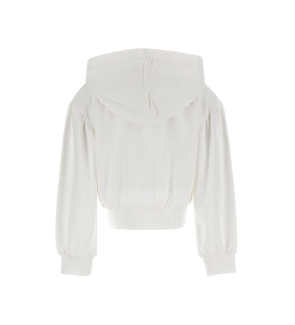 #COLOR_OFF WHITE