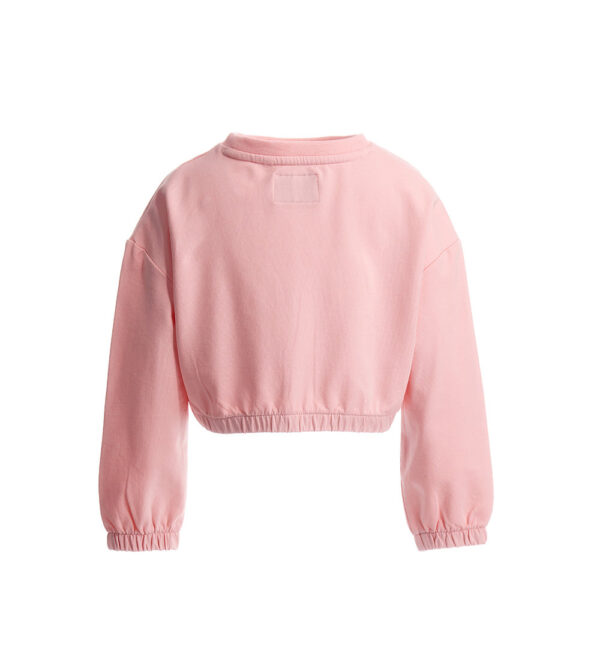 #COLOR_PINK