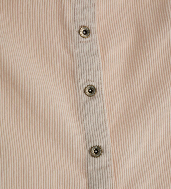 #COLOR_BEIGE