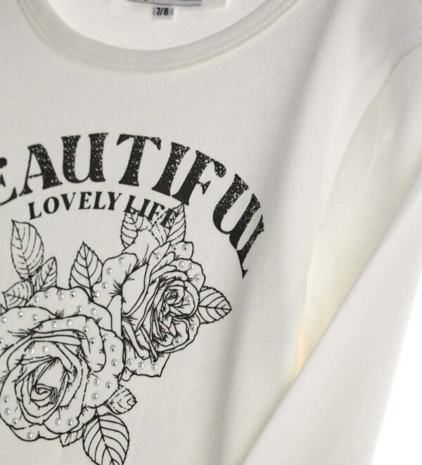 #COLOR_OFF WHITE