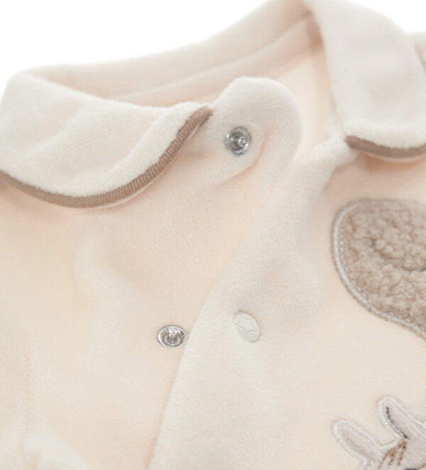#COLOR_OFF WHITE