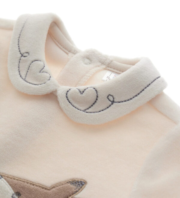 #COLOR_OFF WHITE