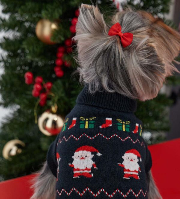 Pull capsule de Noël pour chiot
