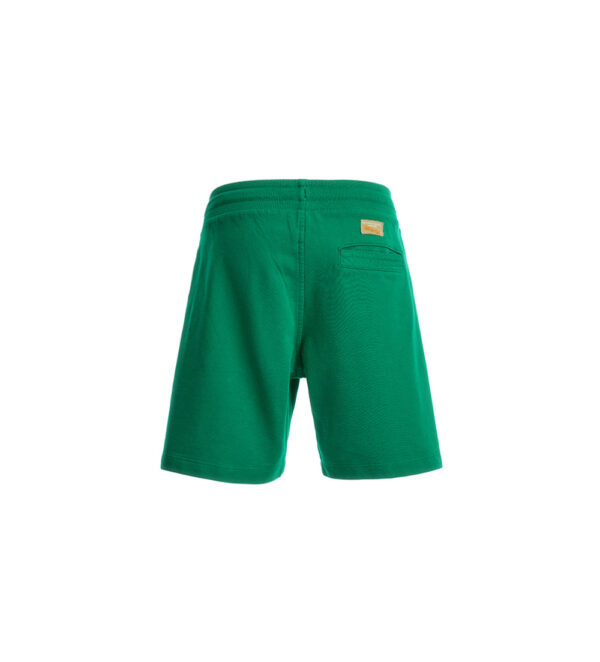 #COLOR_GREEN