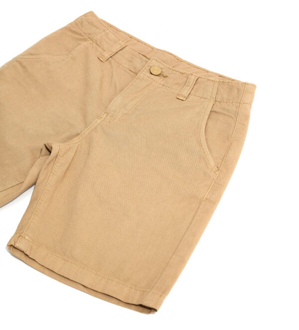#COLOR_BEIGE