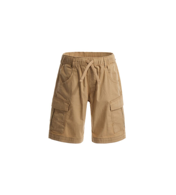 #COLOR_BEIGE