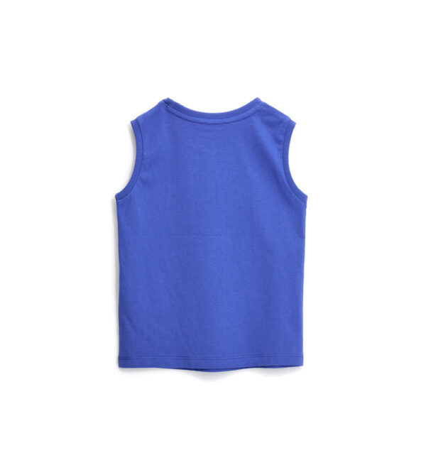#COLOR_ROYAL BLUE