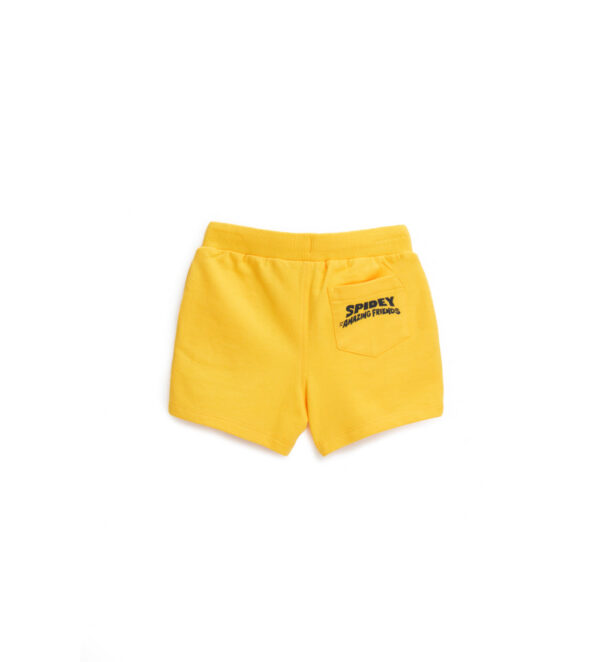 #COLOR_YELLOW