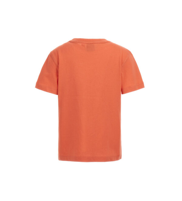 #COLOR_CORAL