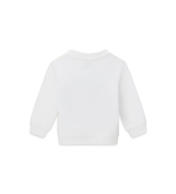 #COLOR_OFF WHITE