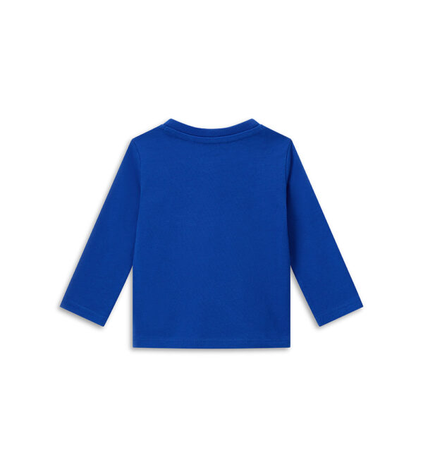#COLOR_ROYAL BLUE