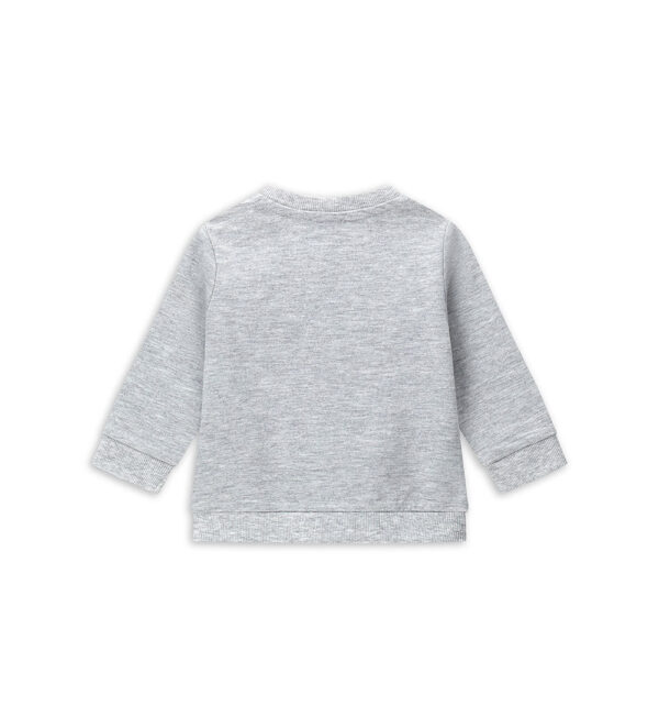 #COLOR_GREY