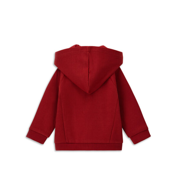 #COLOR_BORDEAUX