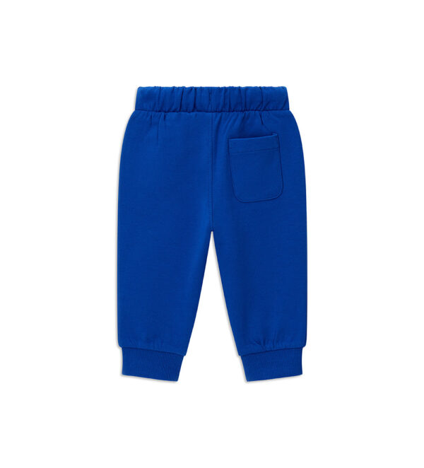 #COLOR_ROYAL BLUE