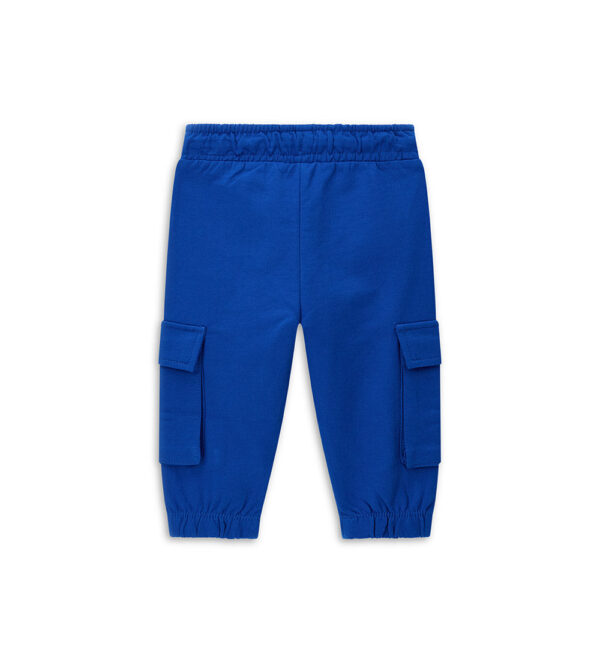#COLOR_ROYAL BLUE