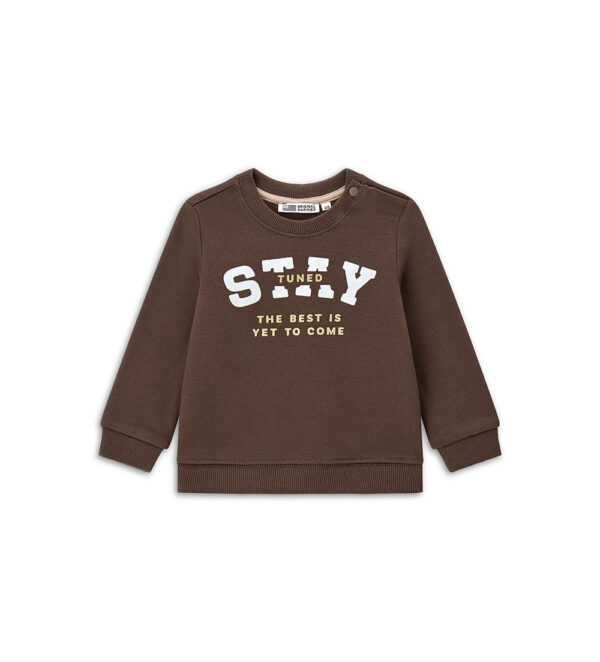 #COLOR_BROWN