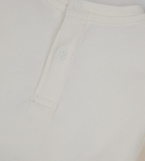 #COLOR_OFF WHITE