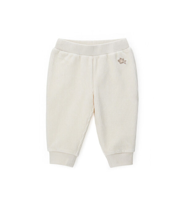 #COLOR_OFF WHITE