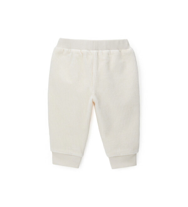 #COLOR_OFF WHITE
