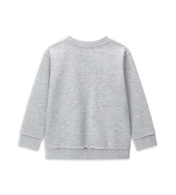 #COLOR_GREY