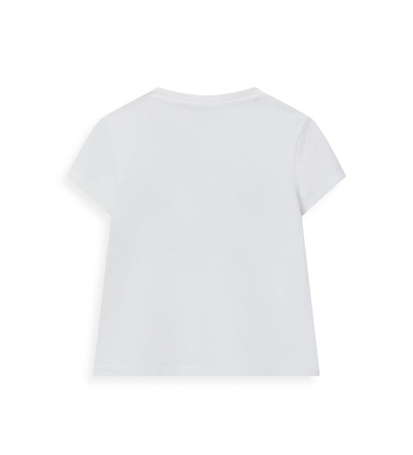 #Color_Off White