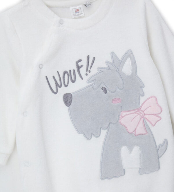 #Color_Off White