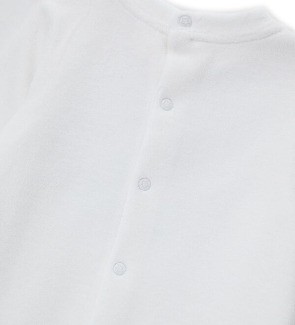 #Color_Off White