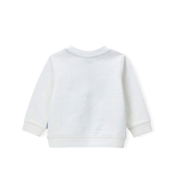 #COLOR_OFF WHITE
