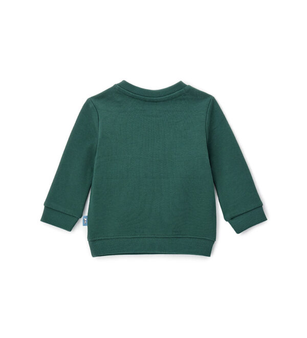 #COLOR_GREEN