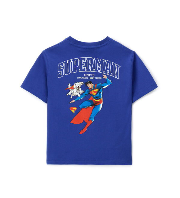 #COLOR_ROYAL BLUE