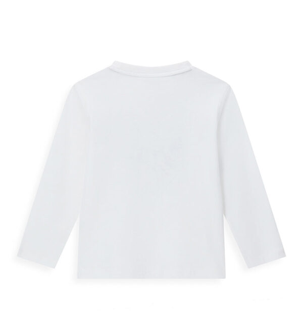 #COLOR_OFF WHITE