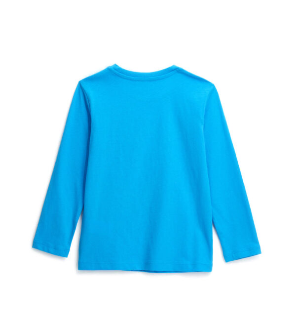 #COLOR_TURQUOISE