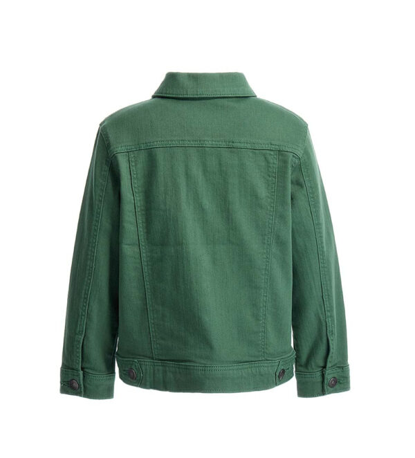 #COLOR_GREEN