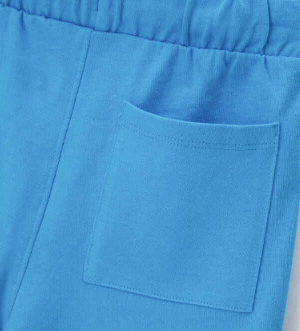 #COLOR_TURQUOISE