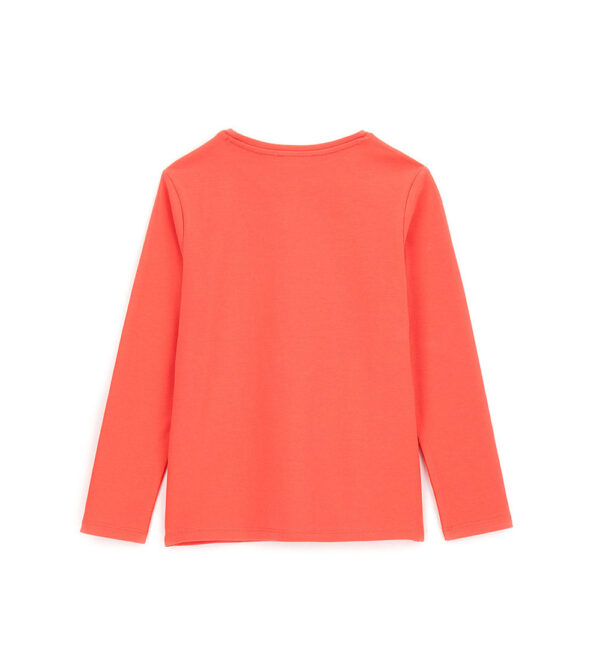 #COLOR_CORAL